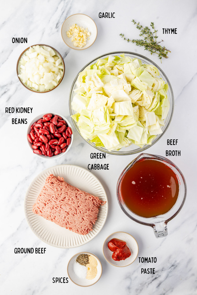 Ingredients for Beef Cabbage Soup an individual bowls