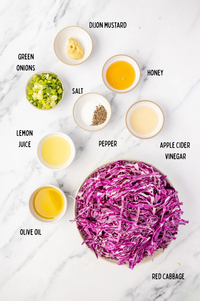 Red-Cabbage-Slaw-Ingredients