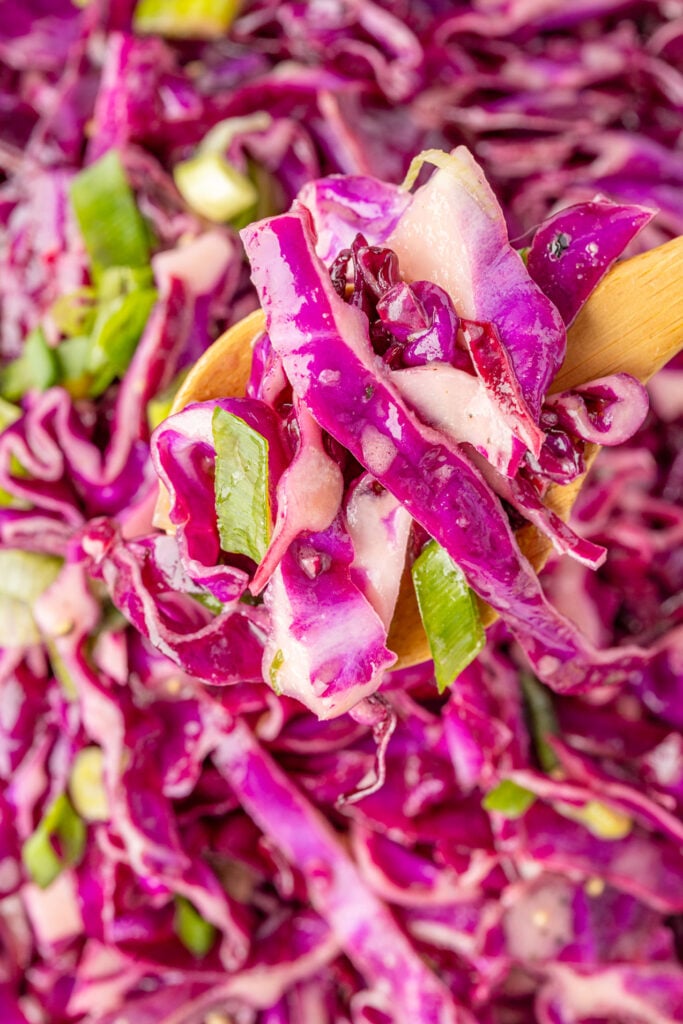 Red Cabbage Slaw