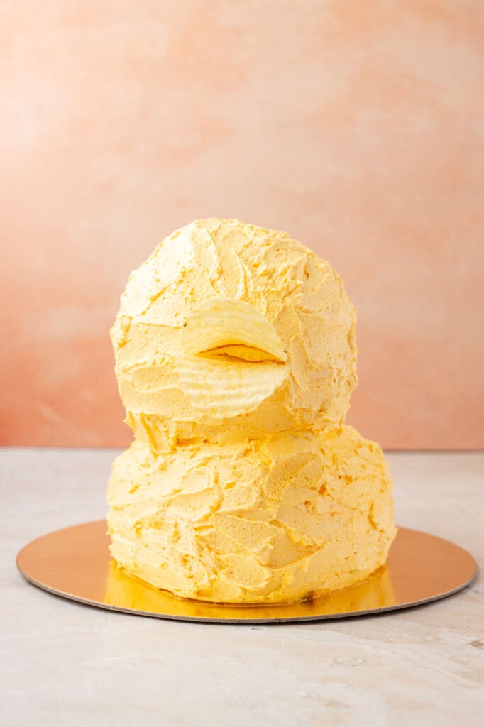 frosted duck cake with chips for mouth.