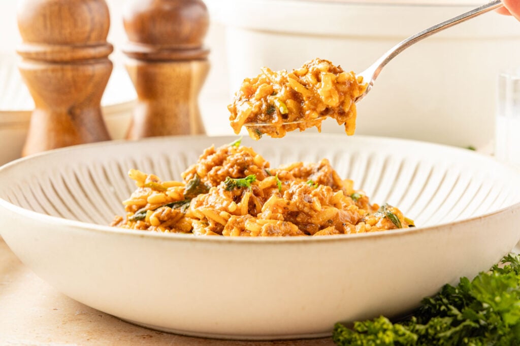 A bowl filled with beef orzo with a fork scooping it up.
